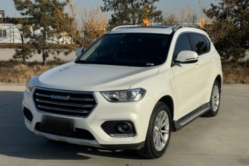 Used Haval H2 2018 Blue Label 1.5T Dual-Clutch Two-Wheel-Drive Elite Model