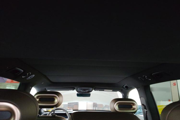 Used  #5 2024 Jungle Realm Limited Edition