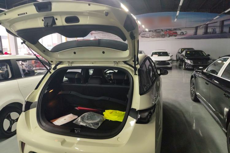 Used BYD Dolphin 2025 420km Free Edition