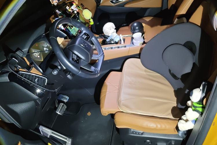 Used  7 2018 45THP Rivoli Pioneer Edition
