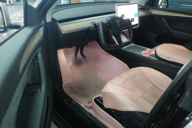 Used Tesla Model Y 2021 Standard Range Rear-Wheel Drive Version
