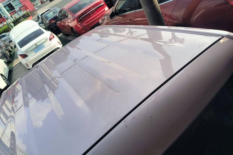 Used  Panda 2023 Panda Mini 200km Endurance Bear
