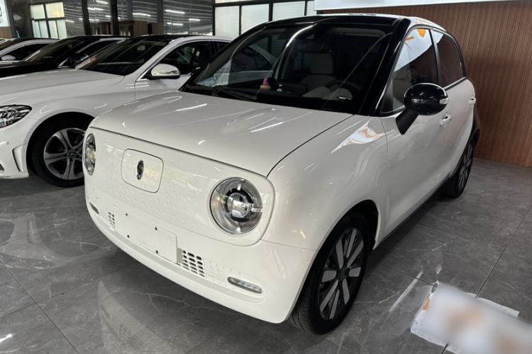 Used ORA Black Cat 2019 351 km Lingzhi Edition
