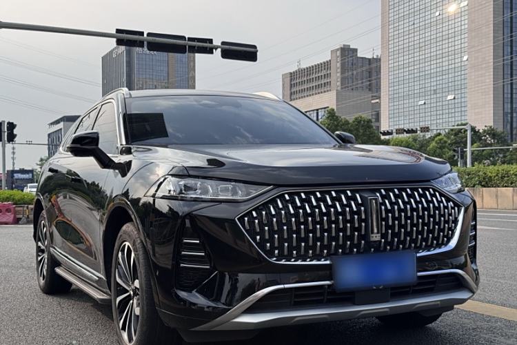 Used Wey Mocha 2021 2.0T Two-Wheel-Drive Ultra-Strong Version
