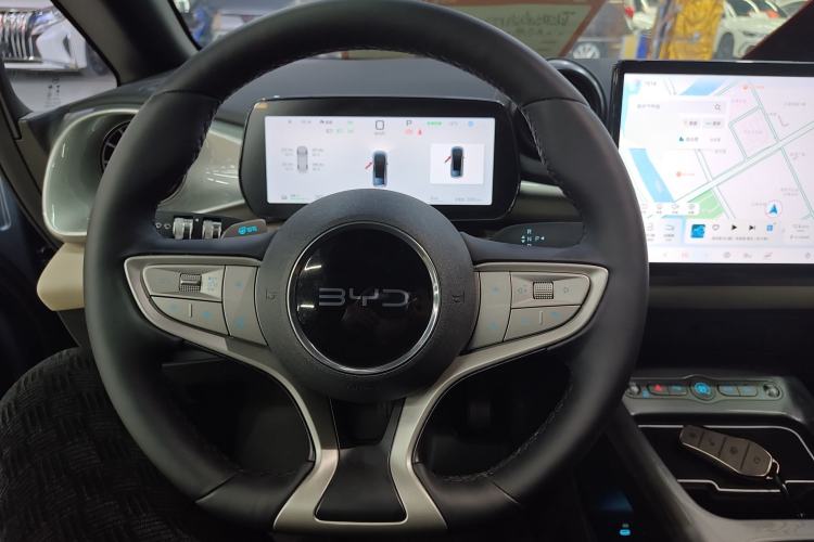 Used BYD Dolphin 2025 Smart Drive Version 420 km Freedom Edition
