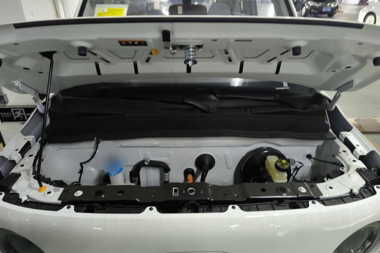 Used  Panda 2025 210 km – Yuanqi Bear
