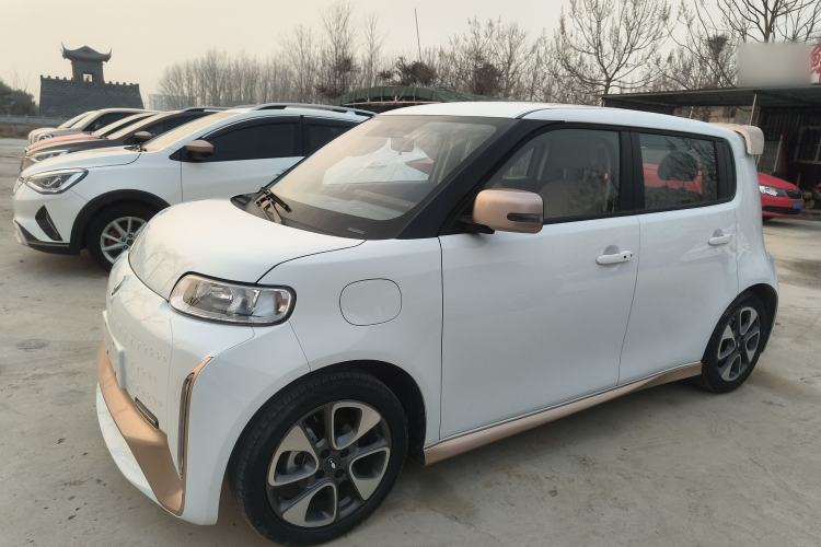 Used ORA White Cat 2022 Xiaoyue Mao Edition 360 km Luxury Model Lithium NMC
