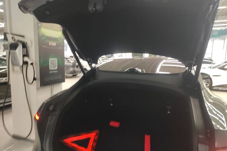 Used  06 2025 Max All-Electric Version
