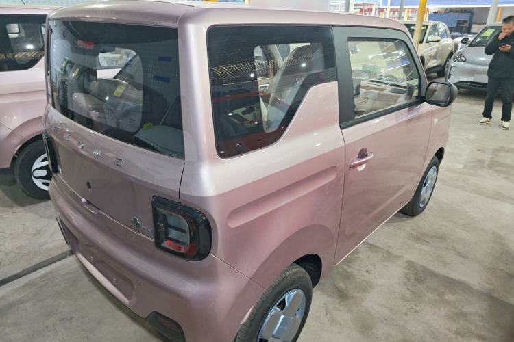 Used  Panda 2024 Panda Mini 200km Endurance Bear