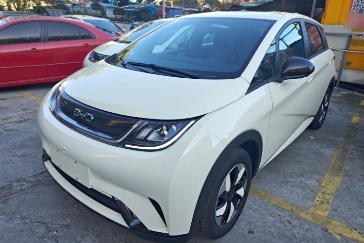 Used BYD Dolphin 2025 420km Free Edition
