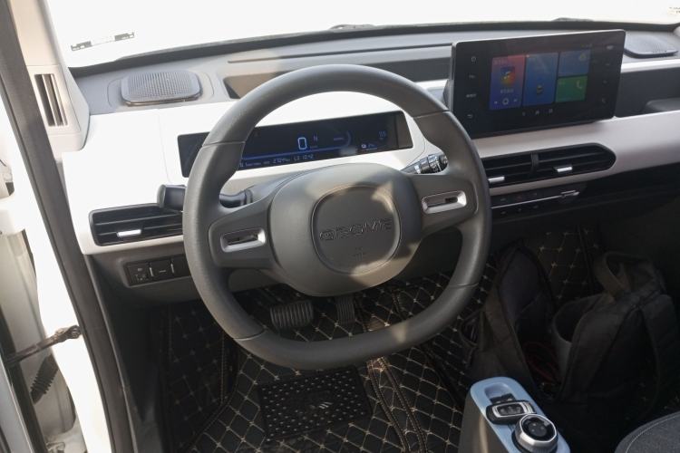 Used  Panda 2024 Panda Mini 200km Endurance Bear
