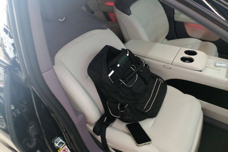 Used  06 2025 Pro Range-Extended Edition
