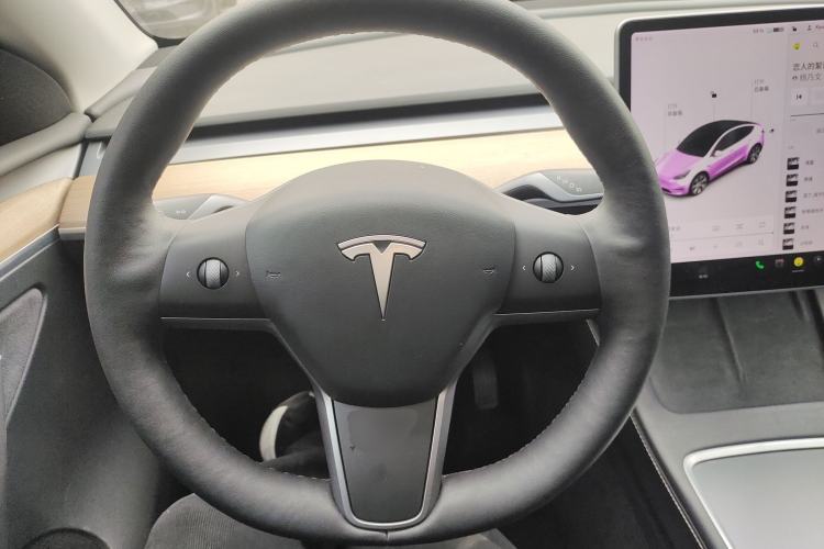 Used Tesla Model Y 2021 Standard Range Rear-Wheel Drive Version