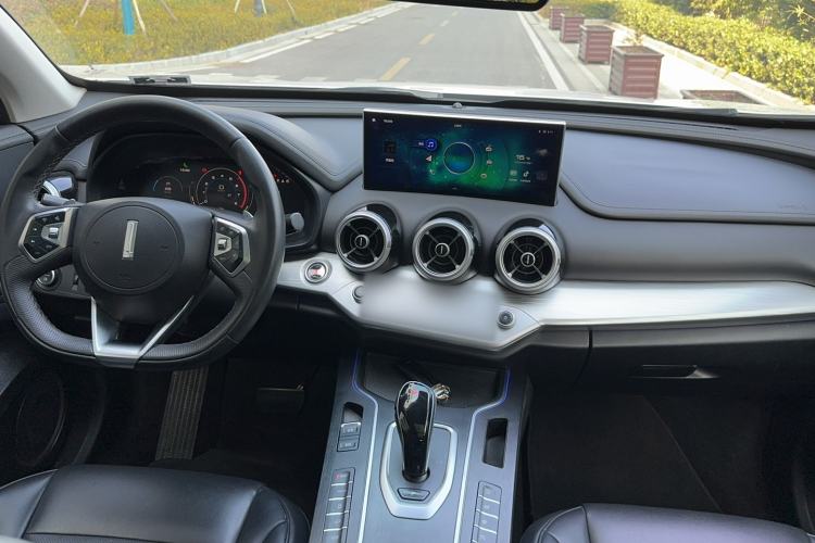 Used Wey VV7 2020 2.0T Ultra-Luxury Version
