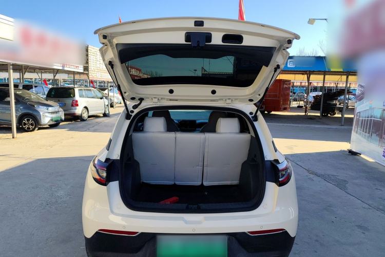 Used  Geome 2025 310km Youth Edition
