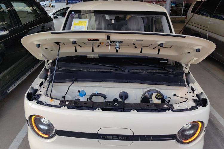 Used  Panda 2025 210 km – Yuanqi Bear
