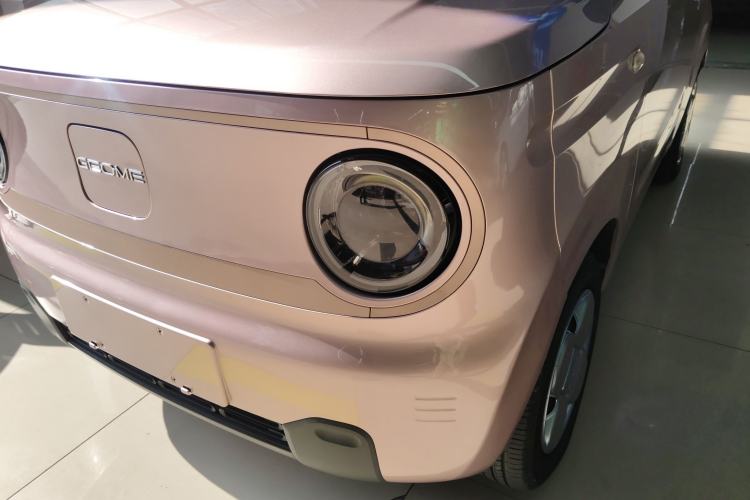 Used  Panda 2023 Panda Mini 200km Endurance Bear
