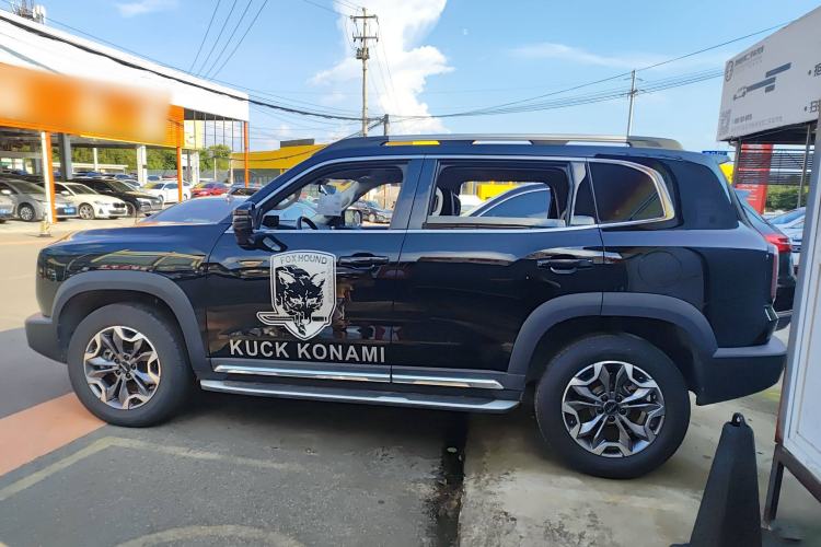 Used Haval DARGO 2022 2.0T DCT 4x4 Chinese Rural Dog Edition
