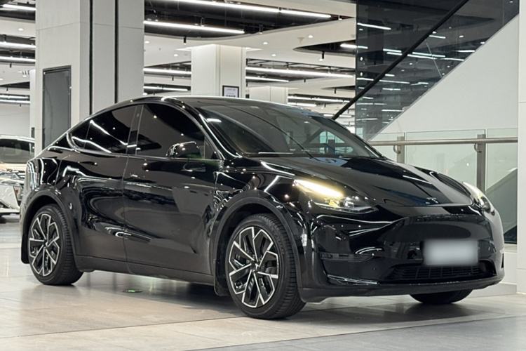 Used Tesla Model Y 2021 Standard Range Rear-Wheel Drive Version
