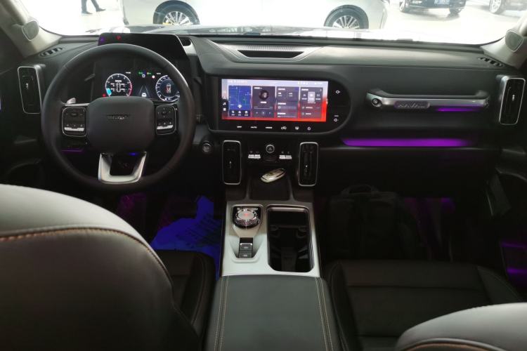 Used Haval DARGO 2024 2.0T DCT Chinese Rural Dog Edition