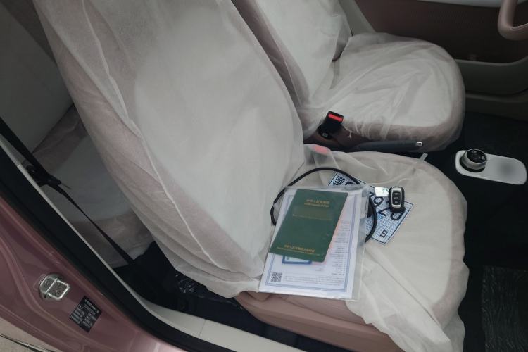 Used  Panda 2025 210 km – Yuanqi Bear