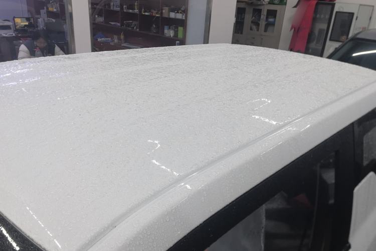 Used  Panda 2024 Panda Mini 200km Endurance Bear
