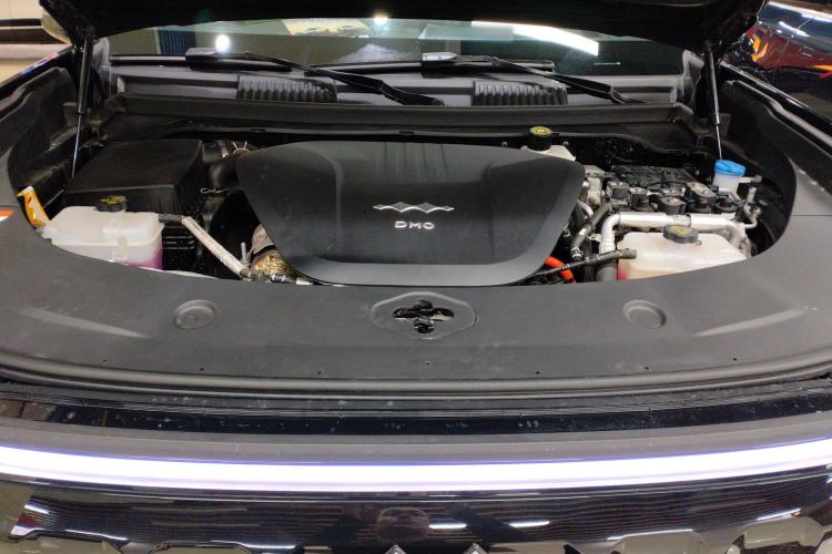 Used  Leopard 8 2025 Smart & Brave Flagship Edition 7 Seats