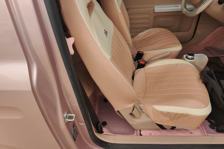 Used  Panda 2023 Panda Mini 200km Endurance Bear
