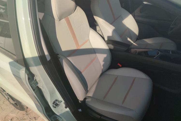 Used SOL E10X 2022 Flower Fairy Style Baby's Breath
