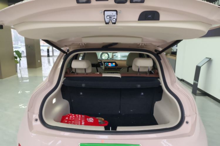 Used ORA Good Cat 2022 Morandi Edition 400km Standard Range Premium Version Lithium-Ion Battery
