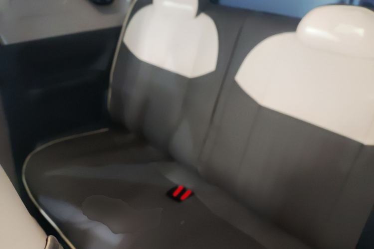 Used  Panda 2024 Panda Mini 200km Endurance Bear