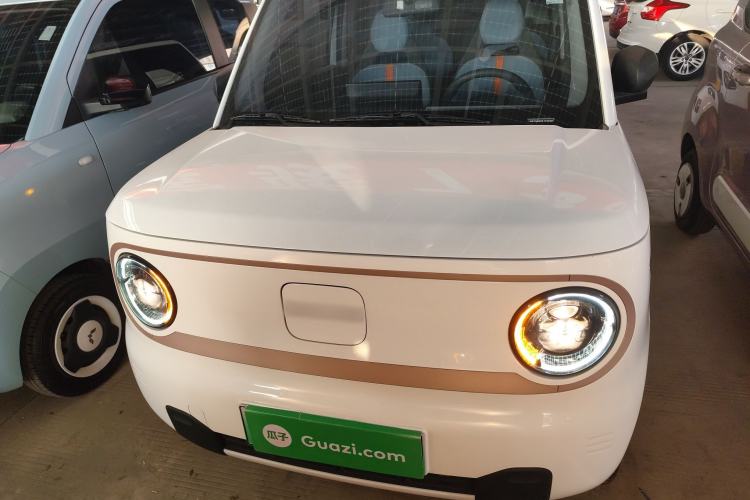 Used  Panda 2023 Panda Mini 200km Endurance Bear
