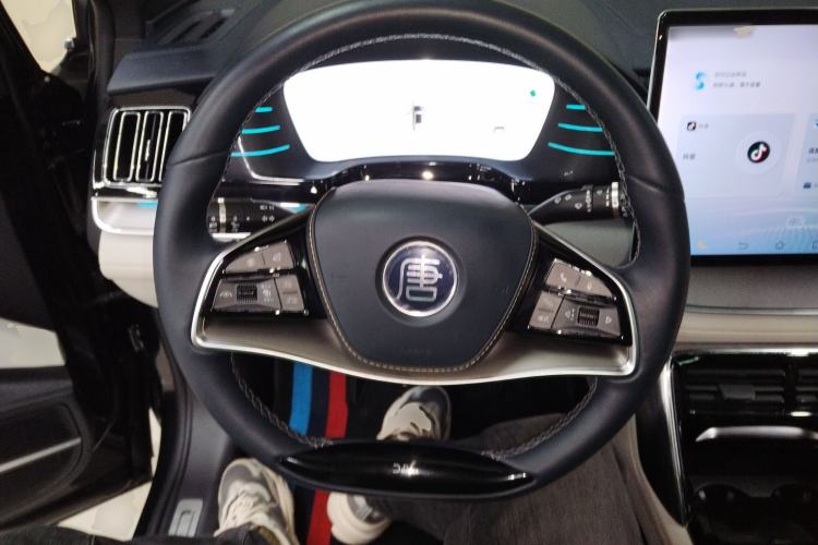 Used BYD Tang New Energy 2022 DM-p 215KM Four-Wheel Drive Flagship Model