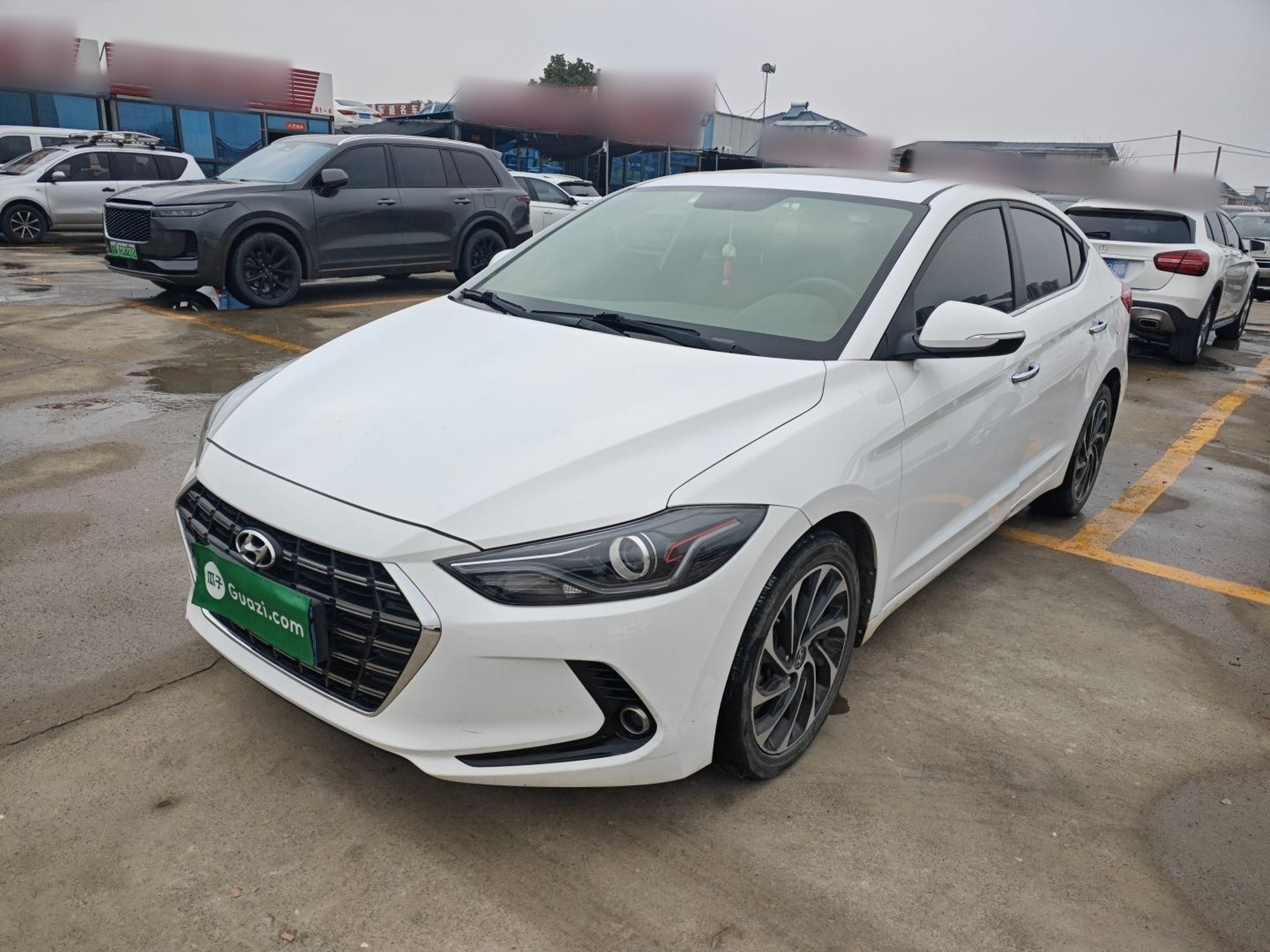 تحت مقدمة السيارة