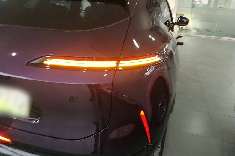 Used  07 2024 Max Extended-Range Edition
