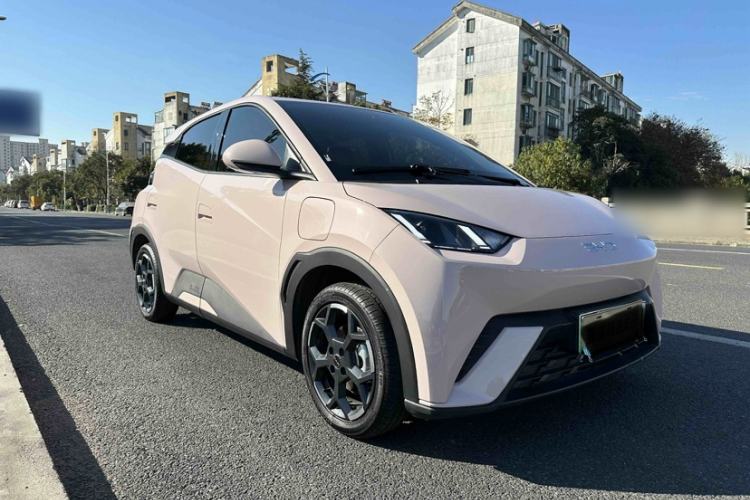 Used BYD Seagull 2024 Honor Edition 305km Freedom Version
