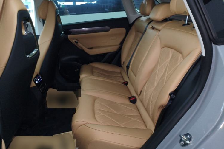 Used Leapmotor C11 2024 Range-Extended 300 Luxury Edition
