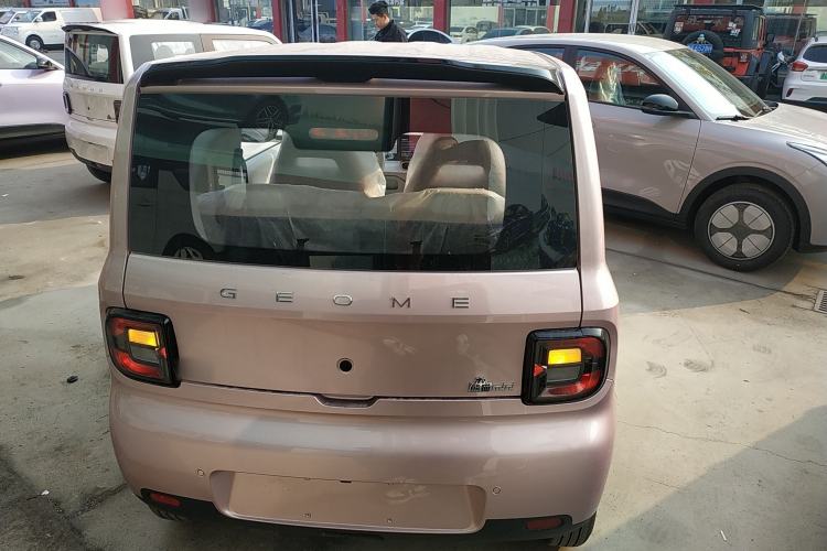 Used  Panda 2025 210 km – Yuanqi Bear
