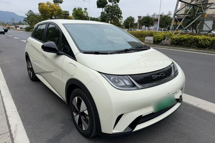 Used BYD Dolphin 2023 420 km Free Version
