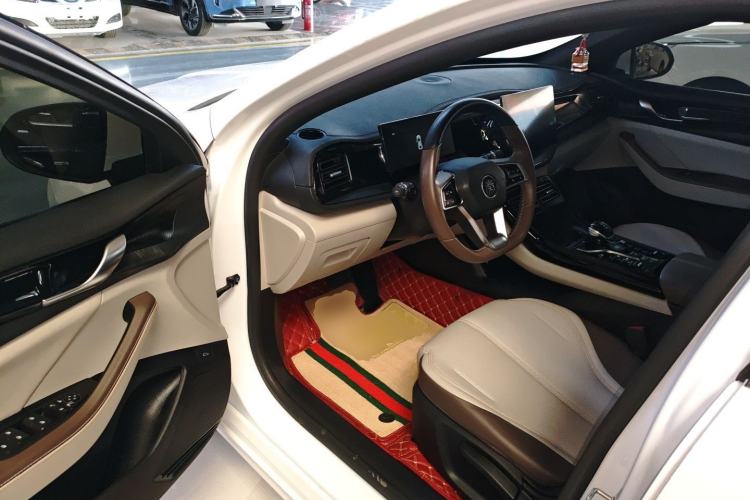 Used BYD Qin PLUS 2023 Champion Edition DM-i 55KM Leading Model
