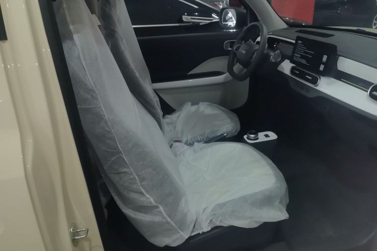 Used  Panda 2025 210 km – Yuanqi Bear
