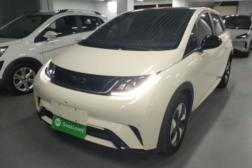 Used BYD Dolphin 2024 Honor Edition 420km Fashion Version