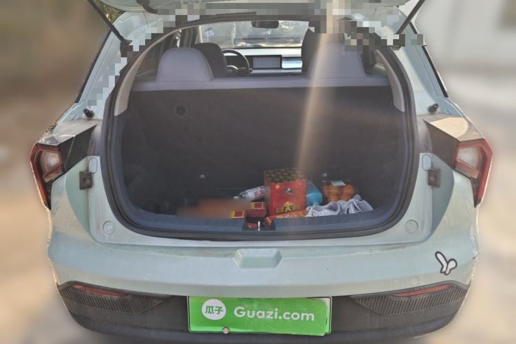 Used Geometry E Firefly 2022 320KM Cute Tiger 4-Seater