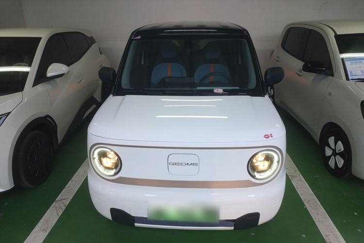 Used  Panda 2023 Panda Mini 200km Endurance Bear
