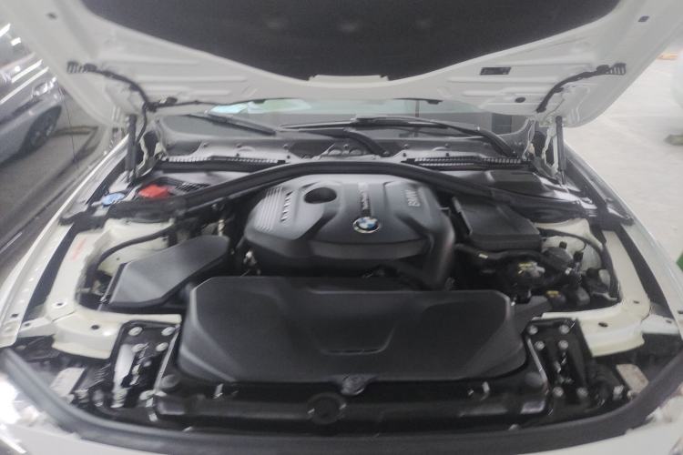 Used BMW 3 Series 2019 320Li M Sport Night Edition