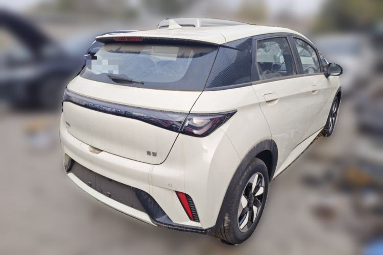 Used BYD Dolphin 2025 420km Free Edition
