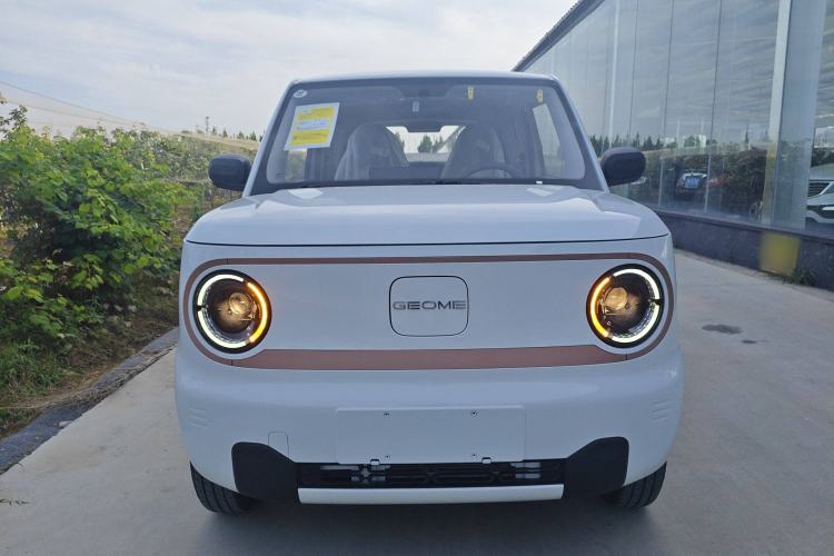 Used  Panda 2024 Panda Mini 200km Endurance Bear
