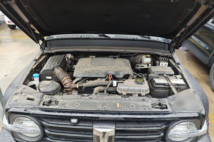 Used Tank 300 2024 2.0T Conqueror
