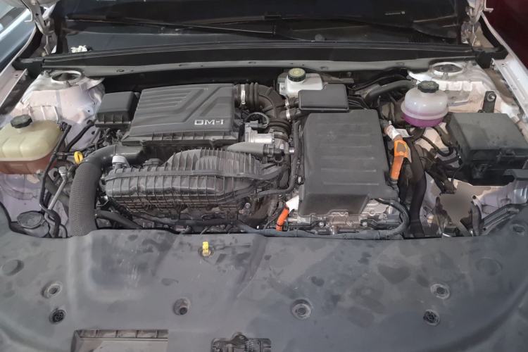 Used BYD Qin PLUS 2023 Champion Edition DM-i 55KM Leading Model
