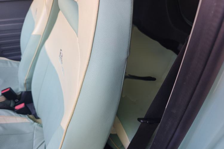 Used  Panda 2023 Panda Mini 200km Endurance Bear
